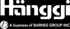 Hanggi Logo White CMYKbusiness of bgiweb